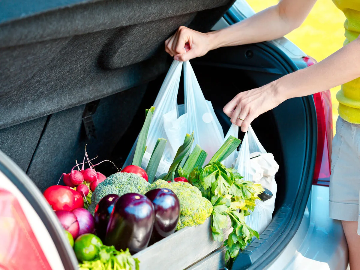 Fresh vegetables in grocery bags